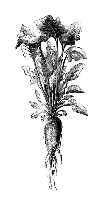 Produzione di lievito